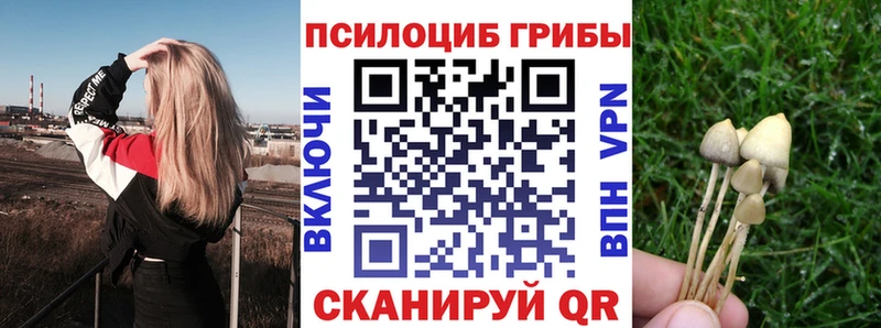 Псилоцибиновые грибы Psilocybine cubensis ОМГ ОМГ вход Чкаловск